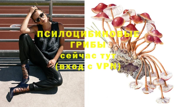 прущие крисы Абдулино
