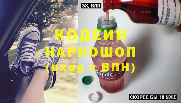 прущие грибы Новокубанск